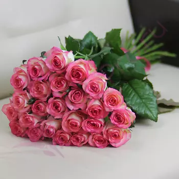 FLORPRO 25 розовых роз Джумилия 60 см