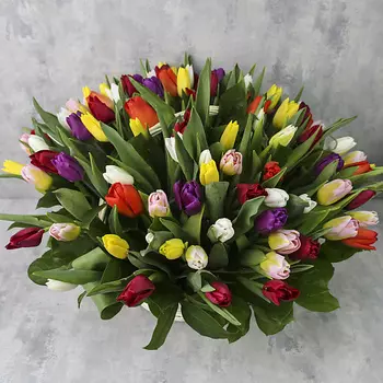 FLORPRO Корзина из 101 тюльпана «Тюльпаны микс»