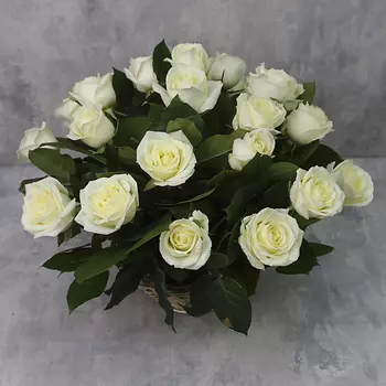 FLORPRO Корзина из 25 роз «Белые розы Аваланч с зеленью»