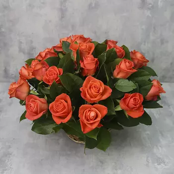 FLORPRO Корзина из 25 роз «Коралловые розы Вау с зеленью»