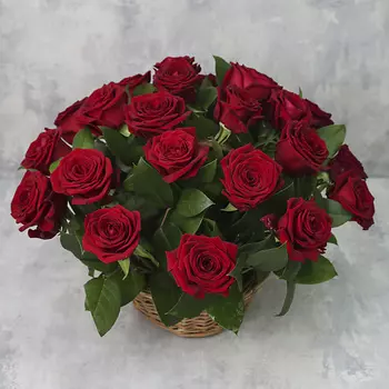 FLORPRO Корзина из 25 роз «Красные розы Ред Наоми с зеленью»