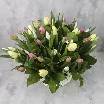 FLORPRO Корзина из 51 тюльпана «Ванильное небо»