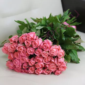FLORPRO 35 розовых роз Анна Карина 80 см