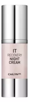 Ночной крем для лица с экстрактом листьев зеленого чая It Moisturising Night Cream 30мл