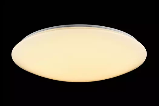 Светильник потолочный LED FR6999