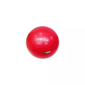 Мяч гимнастический надувной, фитбол Protrain TA-6402-55