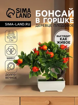 Бонсай в горшке