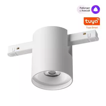 Трековый низковольтный смарт-светильник диммируемый ПДУ/Smart Life NOVOTECH FLUM 359516