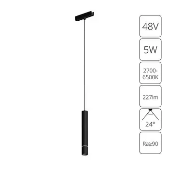 Трековый подвесной светильник Arte Lamp RAPID A2959PL-1BK