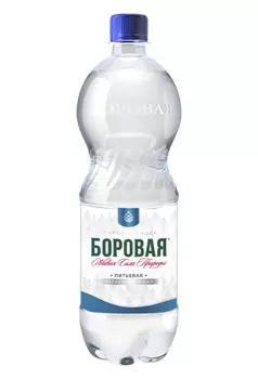 Вода мин Боровая питьевая природная негаз, 1 л, пэт бут