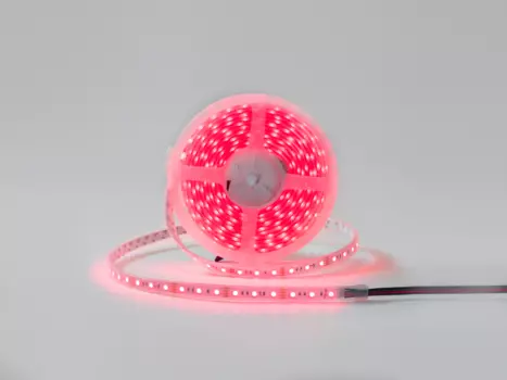 LED лента SWG DesignLed DSG560 DSG560-12-RGB-65