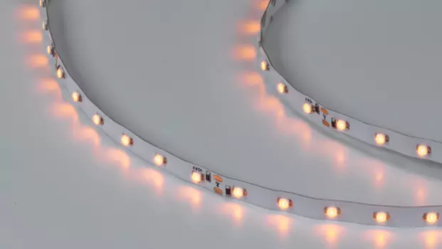 LED лента SWG Standard SWG360 SWG360-24-4.8-Y-M
