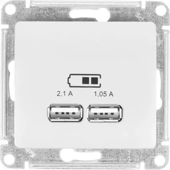 Розетка Systeme Electric Glossa USB встраиваемая A+A цвет молочный