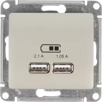 Розетка встраиваемая Systeme Electric Glossa A+A цвет платина