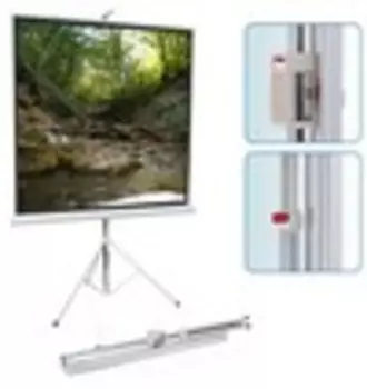Экран Screen Media Standart Apollo