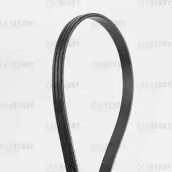 Ремень поликлиновой 665 мм 3 ручьев CARBERRY 3PK665