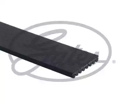 Ремень поликлиновой 1520 мм 8 ручьев GATES 8PK1520HD