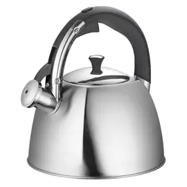 чайник REGENT INOX 3л со свистком нерж. сталь, индукция
