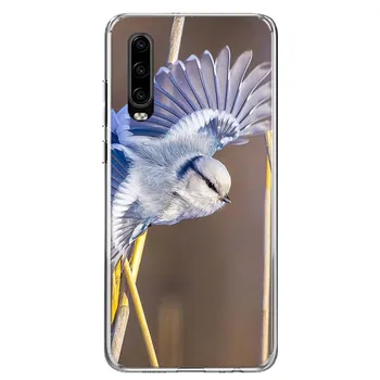 Чехол для телефона «Сорока с птицей» для Huawei P30 P20 P10 P40 P50 Pro Mate 20 40 30 10 Lite, популярный чехол Fundas Art Gift Coque Shell Huawei P30
