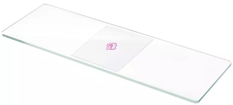 Стекло Levenhuk G50 16281 Levenhuk предметное, 50 шт.