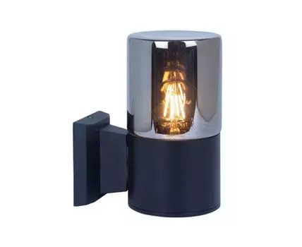 Уличный настенный светильник Arte Lamp WAZN