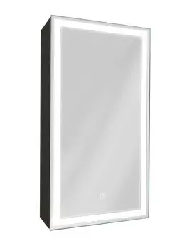 Зеркало-шкаф Art&Max Techno AM-Tec-350-650-1D-R-DS-F-Nero
