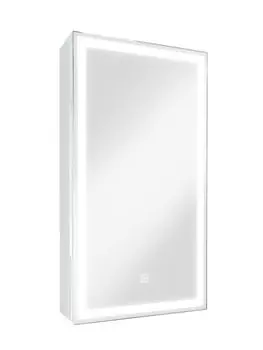 Зеркало-шкаф Art&Max Techno AM-Tec-350-650-1D-R-DS-F