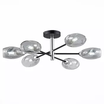 Потолочная люстра Evoluce Gloa SLE155512-06 шарики