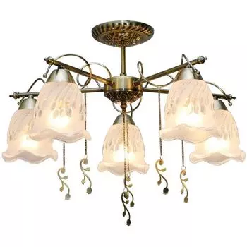 Потолочная люстра TopLight Delia TL1195X-05AB с цветами