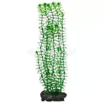 Растение аквариумное Anacharis (L) 30 см. с утяжелителем 270503
