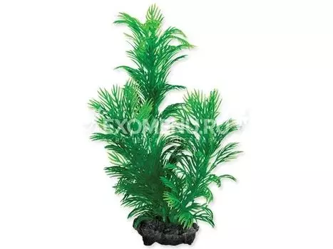 Растение аквариумное Green Cabomba (S) 15 см. с утяжелителем 270206