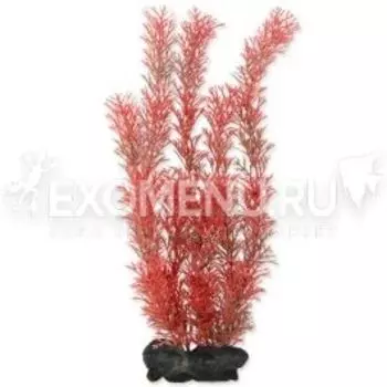 Растение аквариумное Red Foxtail (L) 30 см. с утяжелителем 270657