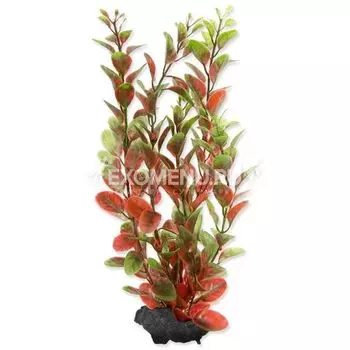 Растение аквариумное Red Ludvigia (M) 23 см. с утяжелителем 270442