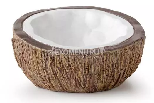 Поилка в виде кокоса