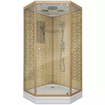 Душевая кабина Niagara Luxe 100x100 NG-7702DG низкий поддон, стекло прозрачное, профиль золото