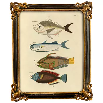 Постер в багетной раме Seabed Print
