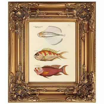 Постер в раме из натурального дерева Fishes 7