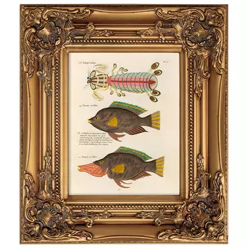 Постер в раме из натурального дерева Fishes 8