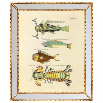 Постер в зеркальной раме Fish Guide 7