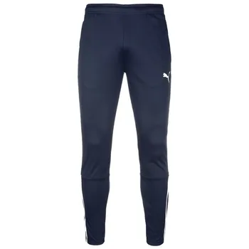 Спортивные штаны PUMA Slim fit Workout Pants TeamLiga, морской синий