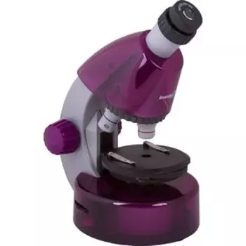 Микроскоп Levenhuk LabZZ M101 Amethyst/ Аметист