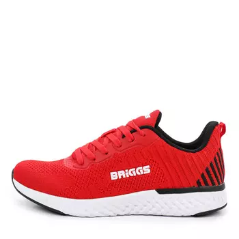 Кроссовки BRIGGS