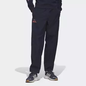 Мужские брюки adidas Adventure Ride Tec Pants (Синие)