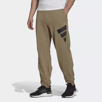 Мужские брюки adidas Sportswear Future Icons Logo Graphic Pants (Зеленые)