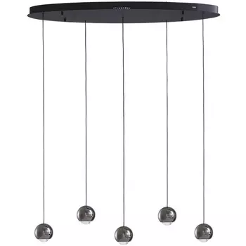 Подвесной светильник Lumien Hall Danay LH8027/5P-BK-PBK