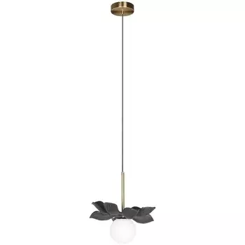 Подвесной светильник Loft It Monro 10213/B Black в форме шара