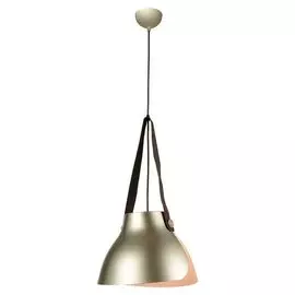 Подвесной светильник лофт LSP-9843 (Loft)