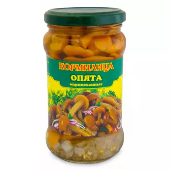 Грибы Кормилица опята 314 г ст/б