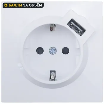 Розетка USB встраиваемая Lezard Zima с заземлением цвет белый