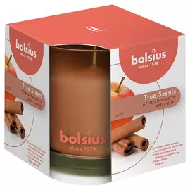 BOLSIUS Свеча арома True scents яблоко с корицей 799